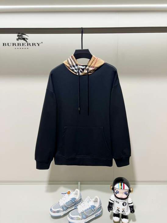 Picture of Burberry Hoodies _SKUBurberryXS-L24cr241892